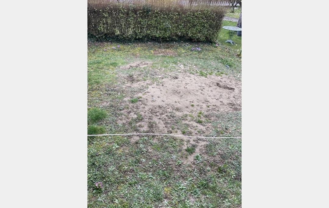 Agence Concept Perfect Immo : Appartement | CHABRELOCHE (63250) | 61 m2 | 355 € 