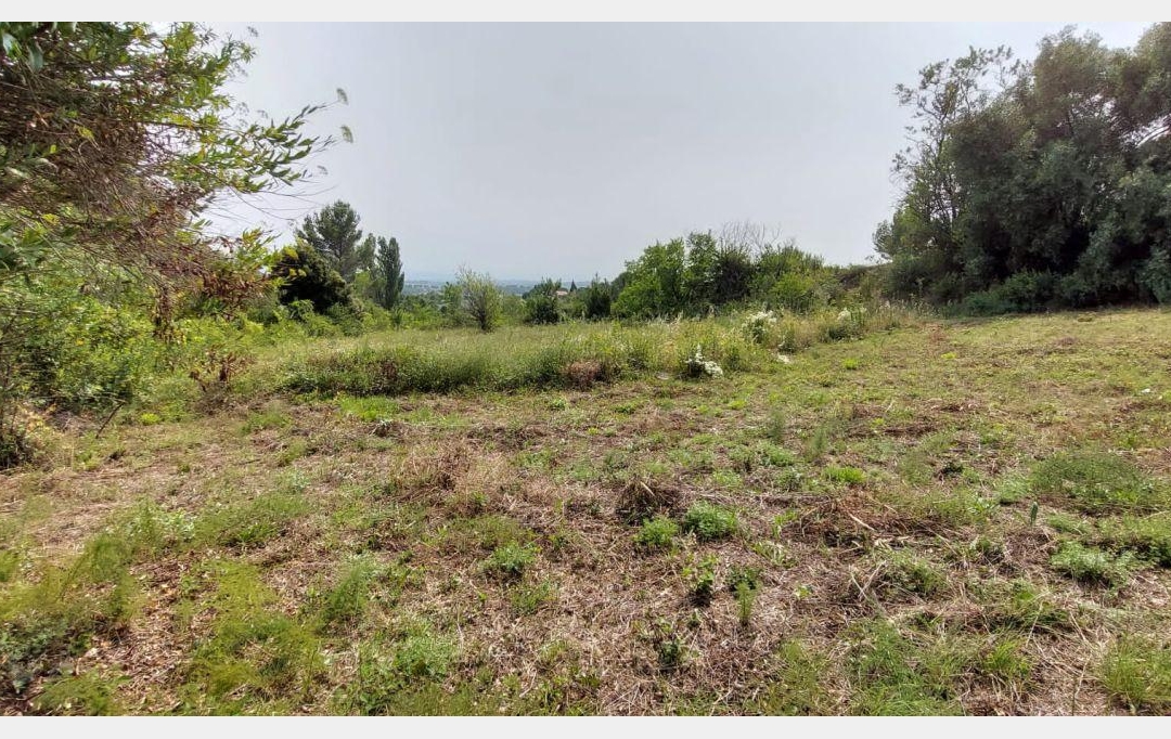 Agence Concept Perfect Immo : Terrain | CAUNES-MINERVOIS (11160) | 0 m2 | 84 240 € 