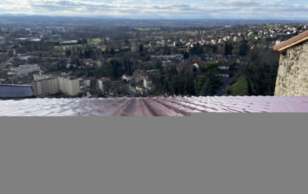 Agence Concept Perfect Immo : Immeuble | THIERS (63300) | 270 m2 | 120 000 € 