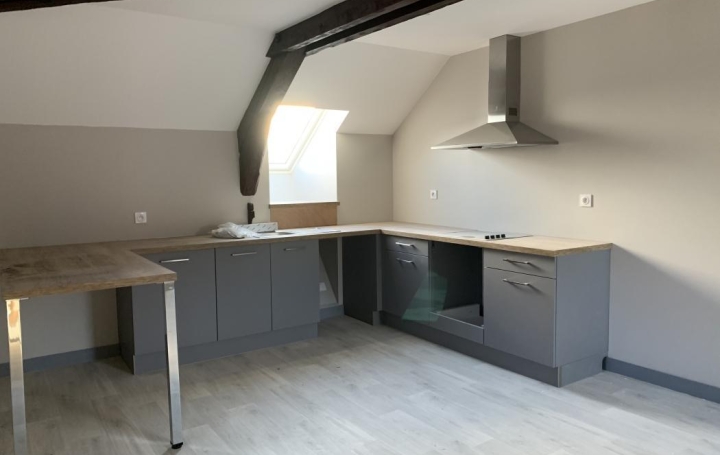 Appartement P3 THIERS 73 m2 510 € Appartement P3 THIERS 73 m2 510 €