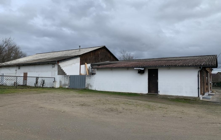 Agence Concept Perfect Immo : Autres | PUY-GUILLAUME (63290) | 600 m2 | 367 500 € 