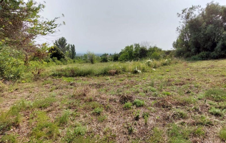 Terrain CAUNES-MINERVOIS 84 240 € Terrain CAUNES-MINERVOIS 84 240 €