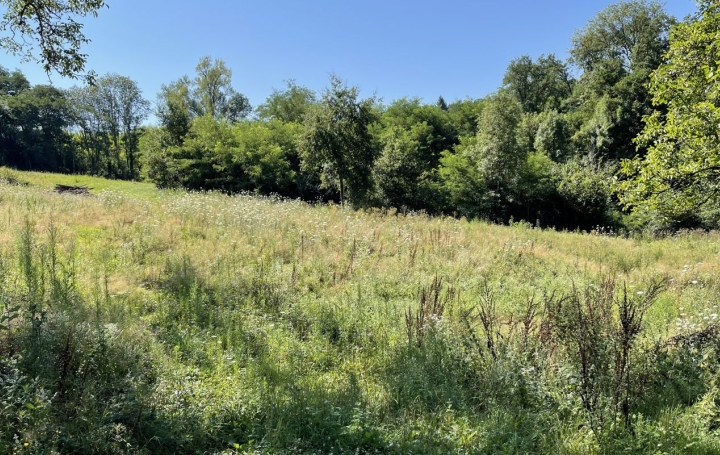  Agence Concept Perfect Immo Terrain | THIERS (63300) | 1 000 m2 | 110 000 € 